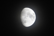7th Dec 2019 - Not yet a full moon
