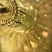 Golden bauble.  by cocobella