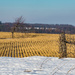 December Farm Landscape by mgmurray