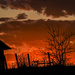 Barn at Sunset by kareenking