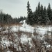 Winter Hike by bkbinthecity