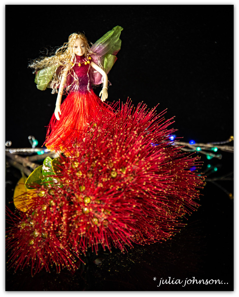 Pohutukawa Fairy... by julzmaioro