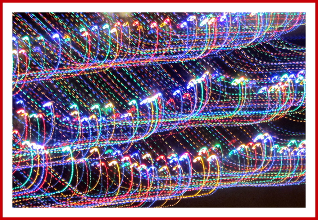 An abstract of Christmas lights. by grace55