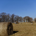 hay bales  by rminer