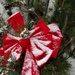 My Snowy Red Bow  by radiogirl