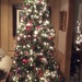 Our living room tree by louannwarren