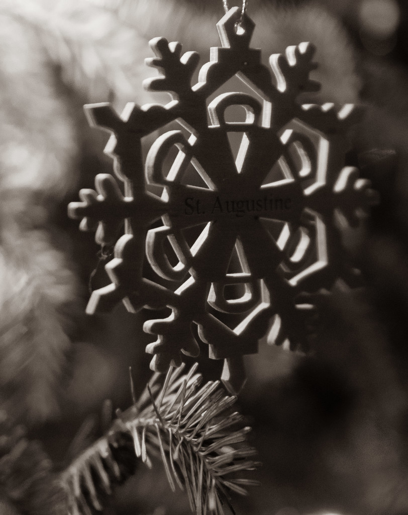 Snowflake by randystreat