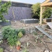 Vegetable garden in the making by nicolecampbell