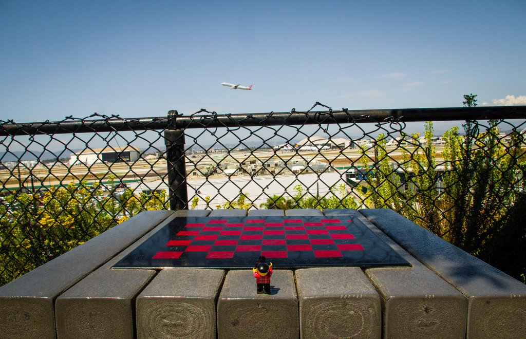 (Day 314) - Checkers & Planes by cjphoto