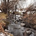 Spring Creek by sandlily