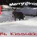 #24: Merry Christmas and happy holidays! by katriak