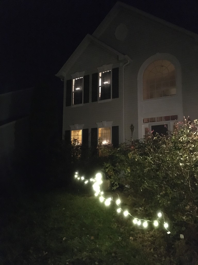 our first attempt at outdoor christmas lights by wiesnerbeth