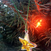 O Christmas tree by jeff