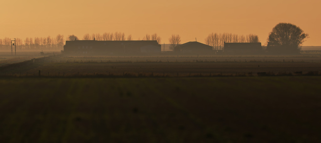 Empty fields. by gamelee