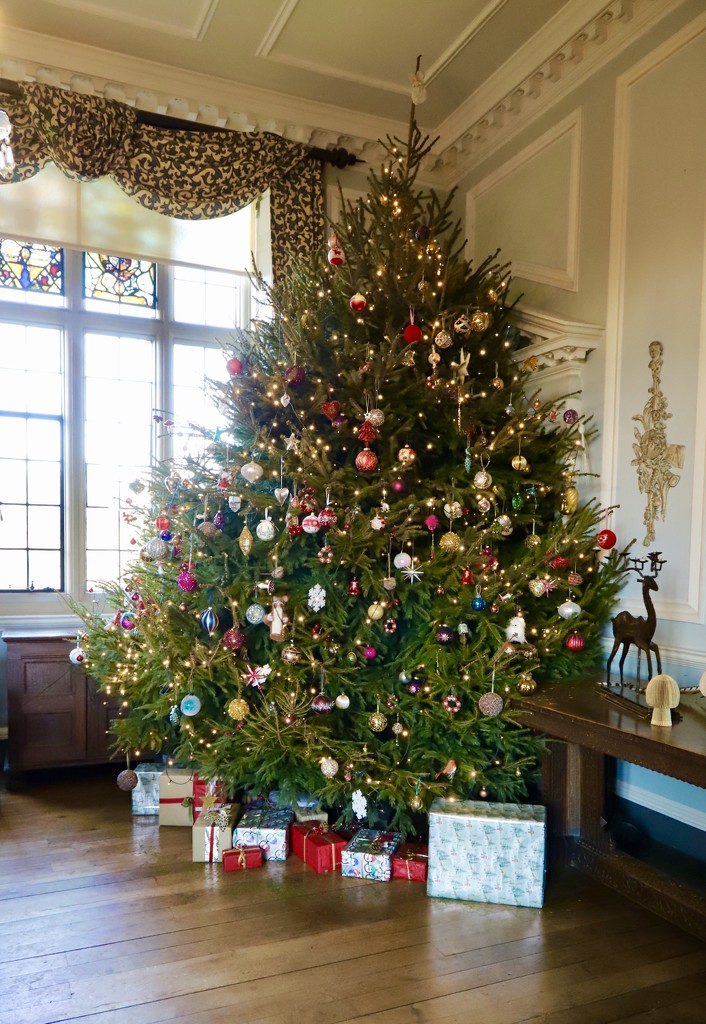 Doddington Christmas Tree by carole_sandford
