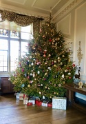 24th Dec 2019 - Doddington Christmas Tree