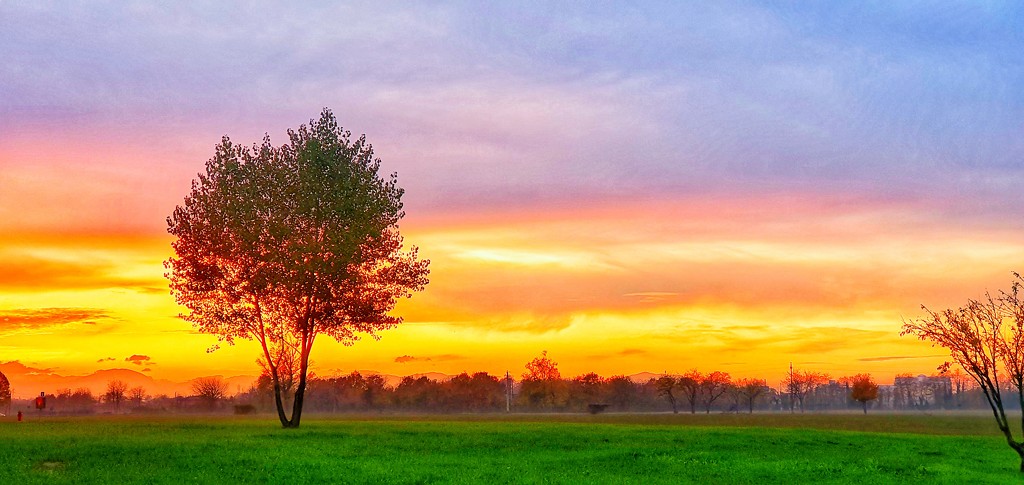 Sunset near Parma  by spectrum