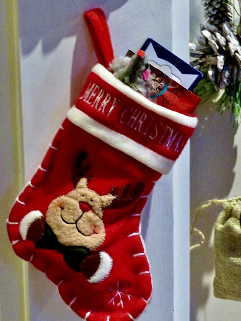 Boo's stocking is hung by the fireside with care..... by lellie
