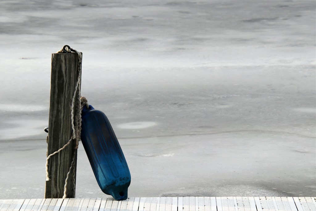 blue buoy by edorreandresen