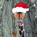 Christmas Eve  Giraffe by randy23