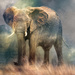 Elephant by ludwigsdiana