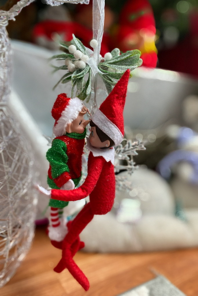 Cheeky elf under the mistletoe  by bizziebeeme