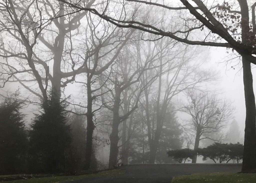 Foggy Christmas Eve by mittens