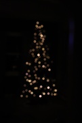 26th Dec 2019 - Day 360:  O Christmas Tree