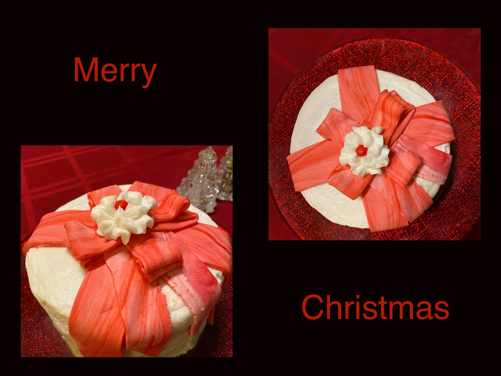 Christmas Cake by shutterbug49