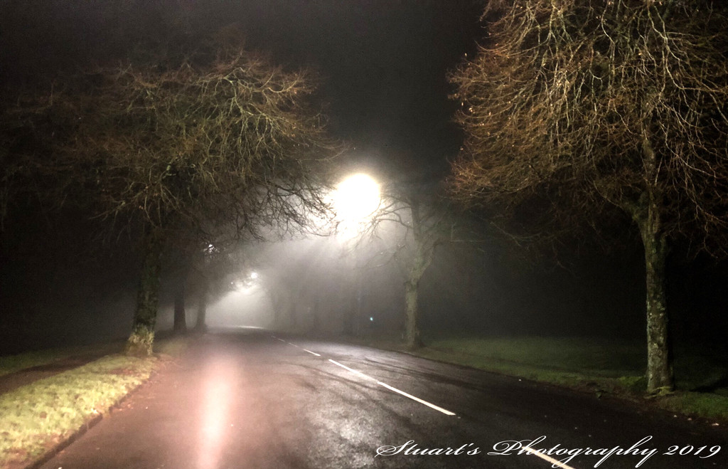 Peering through the fog by stuart46