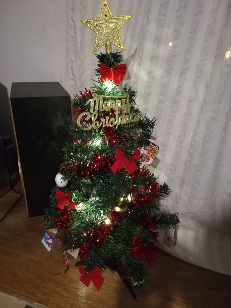 Small christmas tree by nami