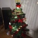 Small christmas tree by nami