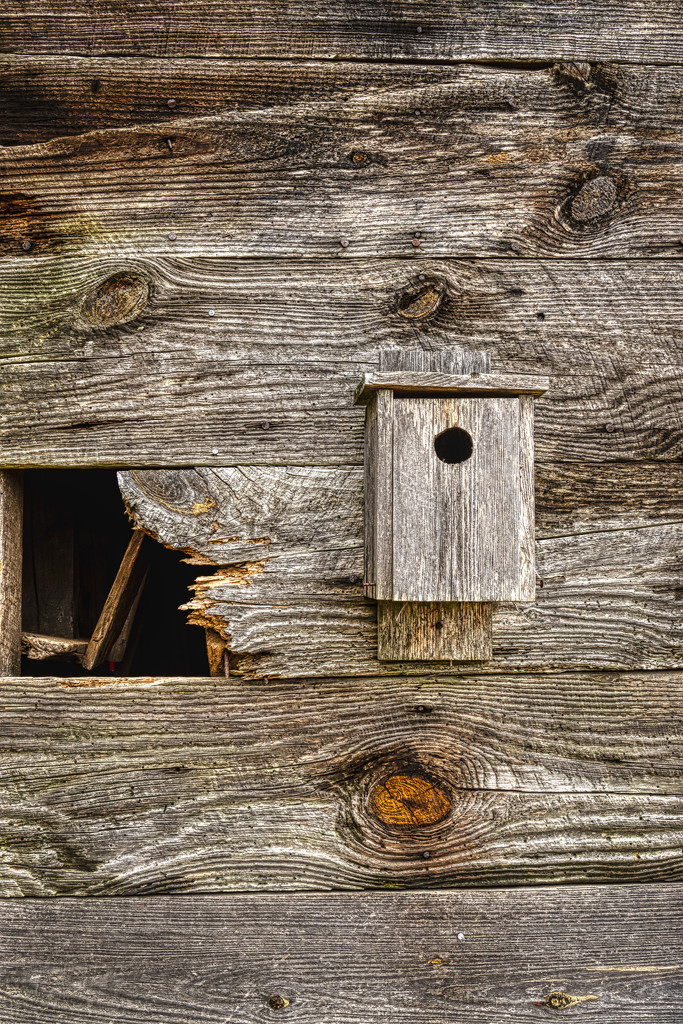 Bluebird Box on Barn by kvphoto