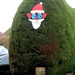 Santa Hedge by davemockford