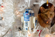 17th Dec 2019 - Not the Droid You're Looking For