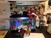 17th Dec 2019 - Our Evles and Carley moved her elf too :)
