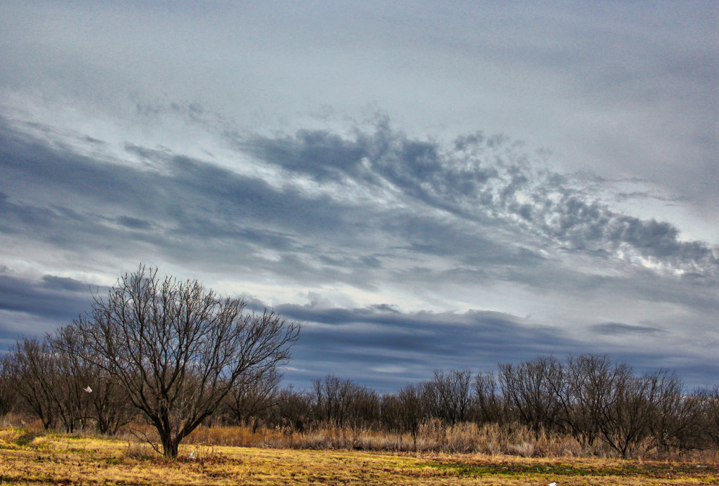 In the country by judyc57