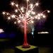 Belton House Light Show by allsop