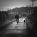 Man and Dog by newbank