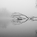 Foggy day by vera365
