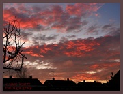 30th Dec 2019 - Sunset From Our Garden