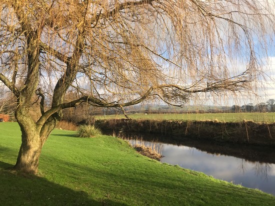 River Bank Near Me