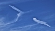 31st Dec 2019 - "Two Birds" Clouds ~      