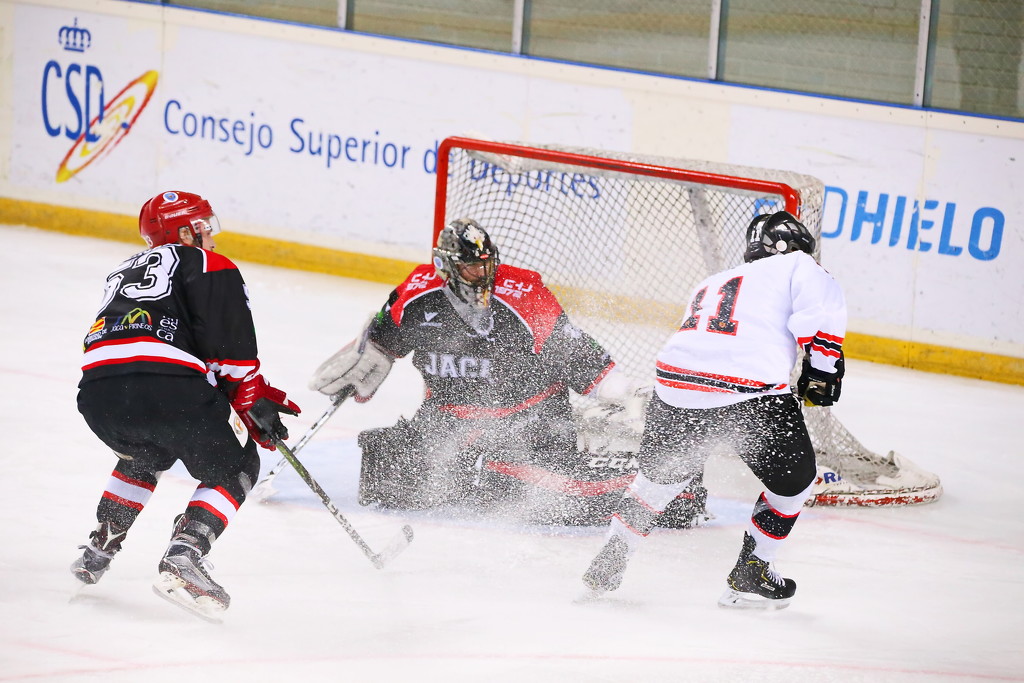 Ice hockey by petaqui