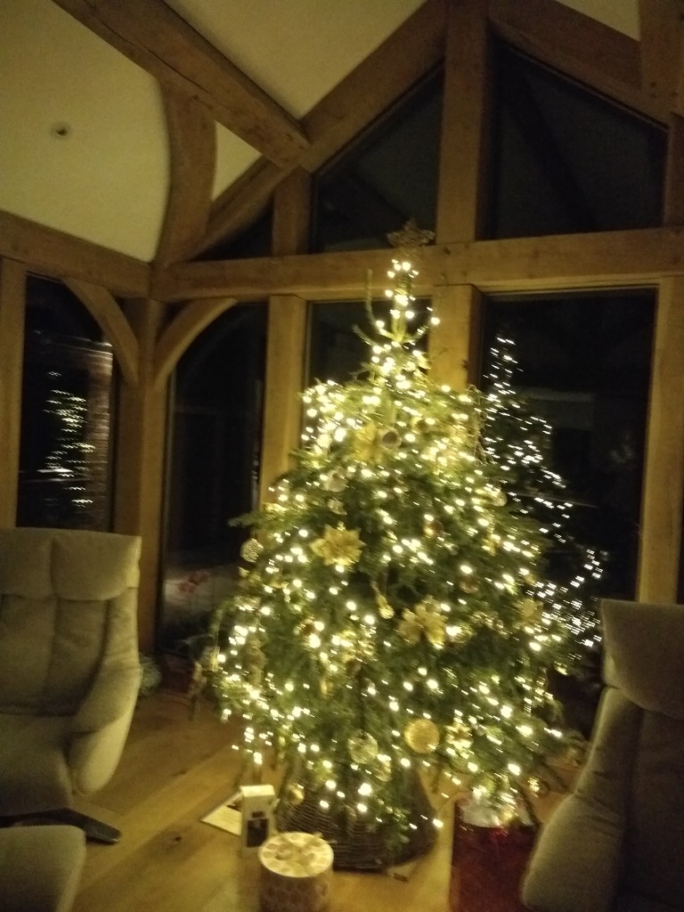 O Christmas Tree by countrylassie