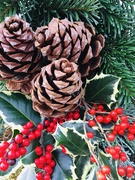 10th Dec 2019 - Christmas Wreaths 