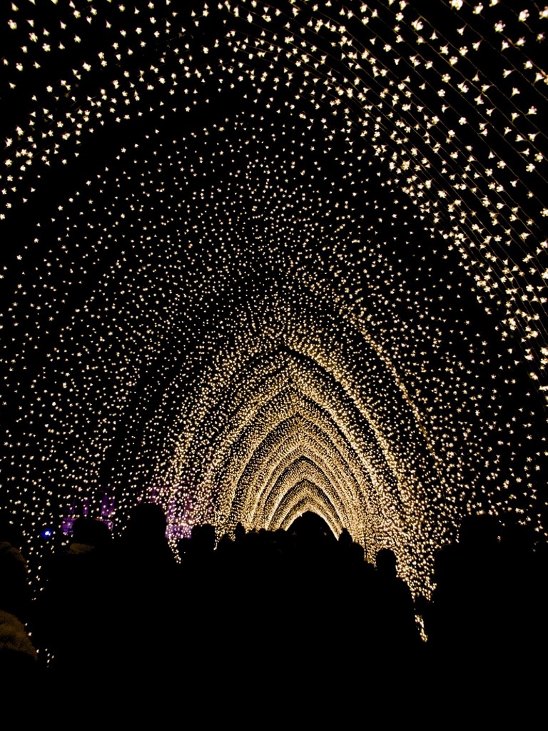 Tunnel of Light by allsop