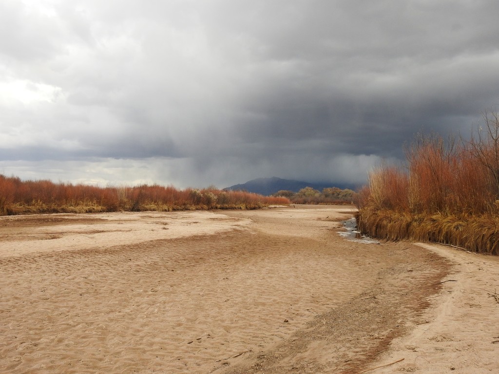 Dry Rio Grande by janeandcharlie