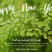 Happy New Year! by kgolab