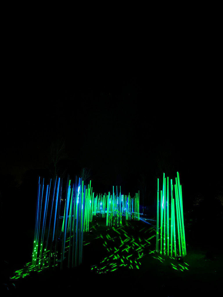 Morton Arboretum Illuminations by jyokota